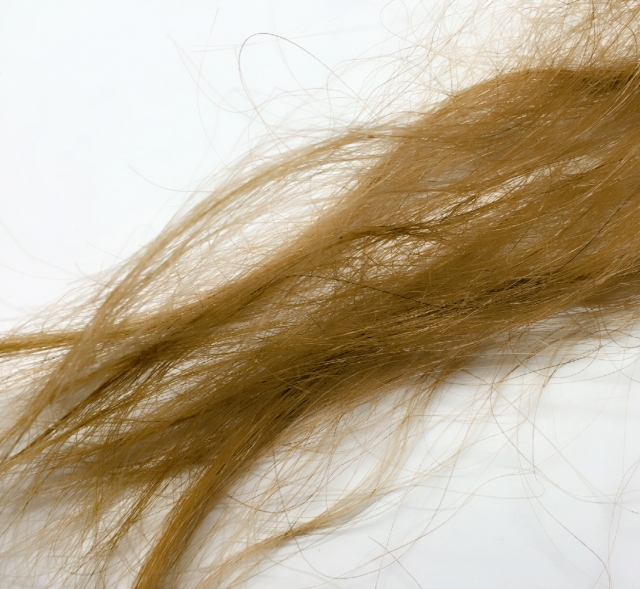 髪がチリチリに 原因と対処法とは 直せるの 髪の声